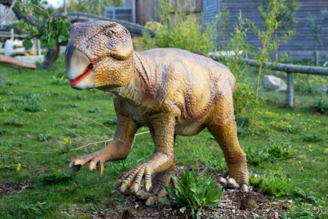 Un dinosauro con l’ombelico 