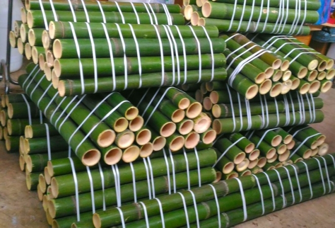 Vendo canne di bambù bambu Servizi
