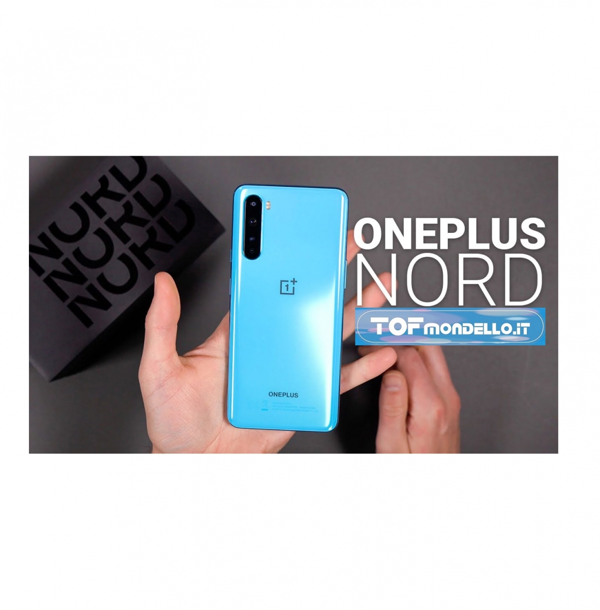 OnePlus Nord (12-256) Azzurro Veicoli Industriali